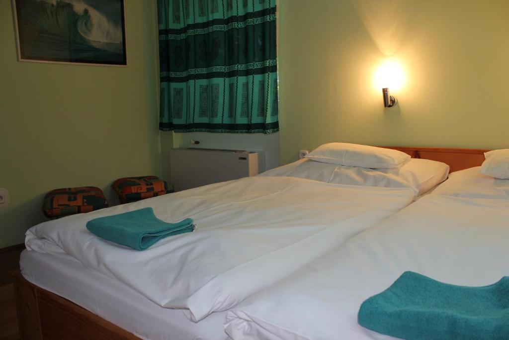 Korona Szallo Hotel Нагиканиша Стая снимка